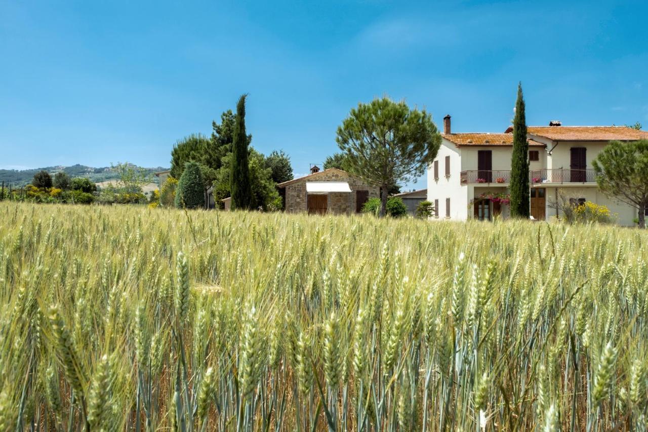Agriturismo San Marcello Castiglione d'Orcia Luaran gambar